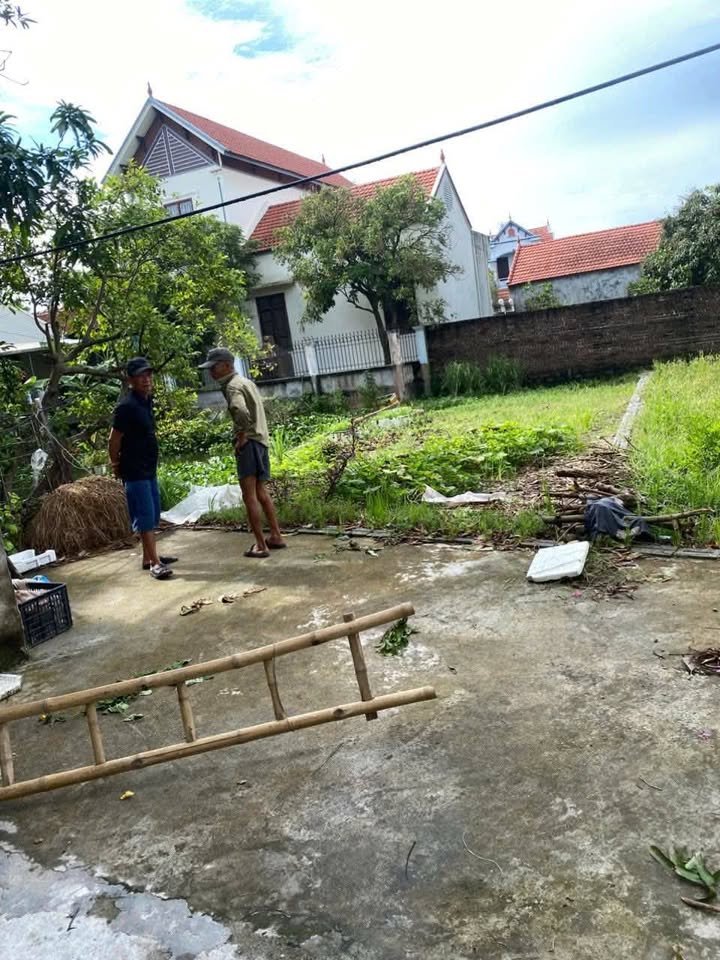 Lô đất đẹp 101,3m² tại Thuần Hưng, Khoái Châu - Đầu tư sinh lời tốt!