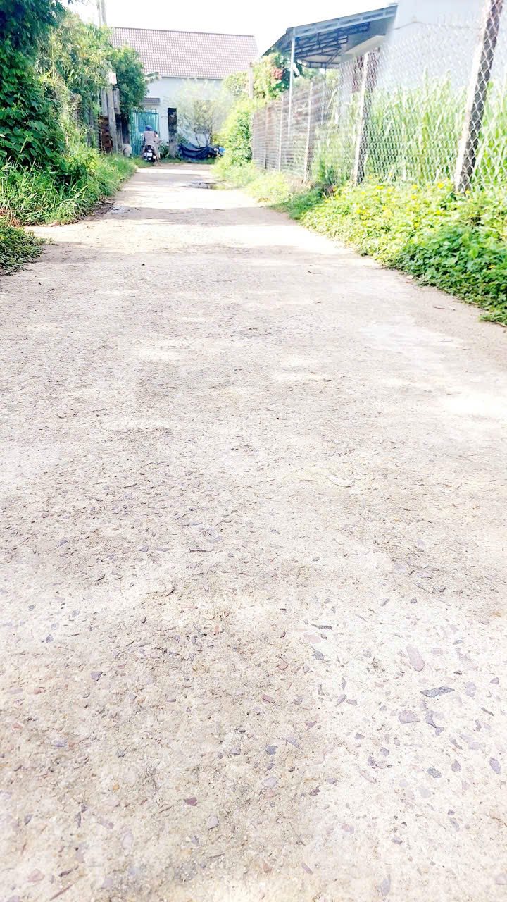 Đất nền Nhơn Tân, An Nhơn 118m² giá chỉ 300 triệu - Nhanh tay sở hữu!