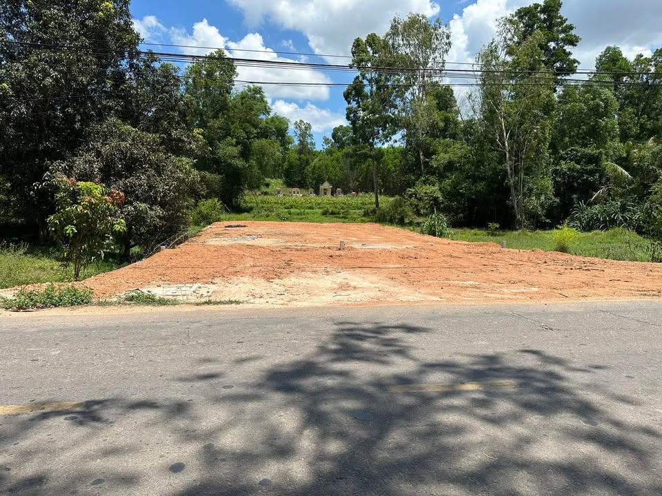 Đất nền mặt tiền đường Trung Thứ, Phù Mỹ 342m² giá 1.19 tỷ - Đầu tư sinh lời ngay!