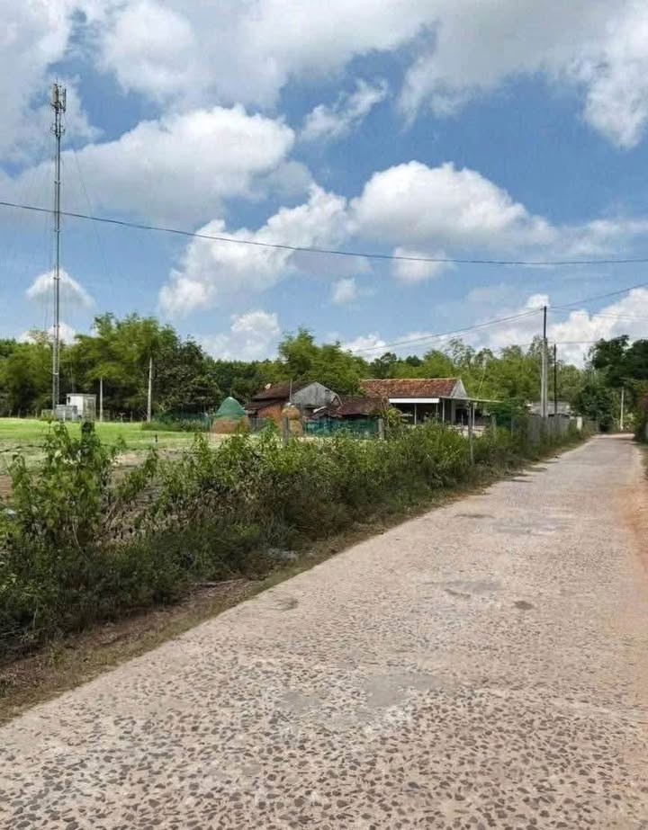 Đất thổ cư 50m² tại thôn Hữu Hạnh, Cát Tân chỉ 290 triệu - Cơ hội đầu tư tuyệt vời!