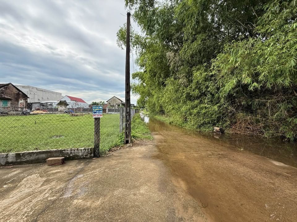 Đất nền Phù Cát 131m² giá đầu tư - Liền kề đường ô tô, sổ đỏ chính chủ!