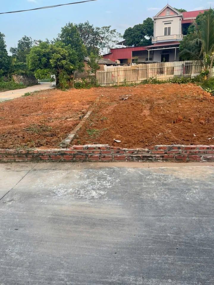 Đất thổ cư tại thôn Đồi Vàng - Đại Hóa - Tân Yên, 112m² chỉ 600 triệu - Cơ hội đầu tư tuyệt vời!