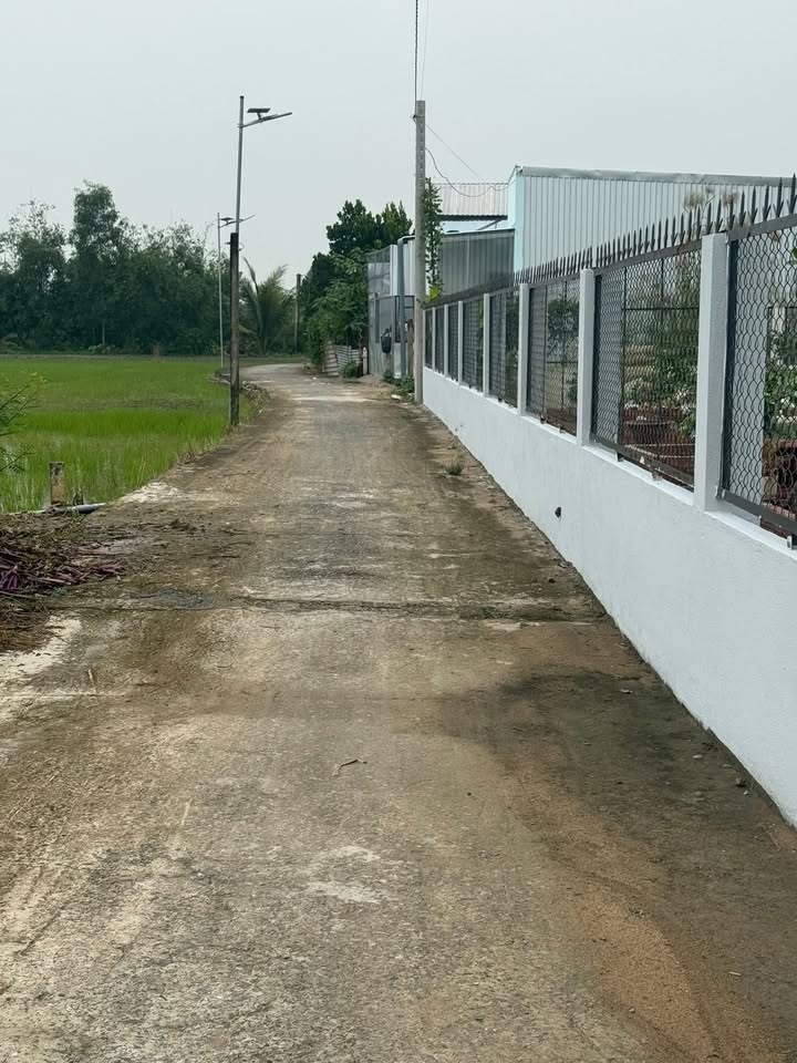 Đất thổ cư 108m² tại Phước Hưng, Cần Giuộc chỉ 800 triệu - Sổ đỏ chính chủ!