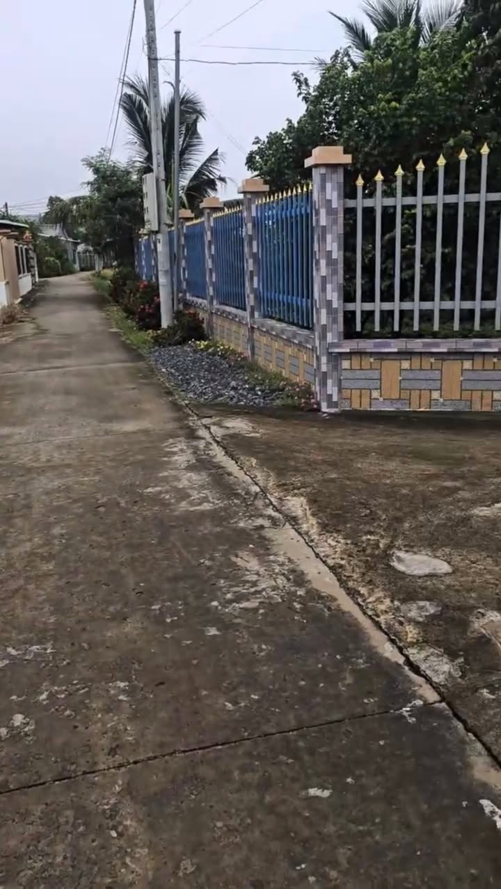 Đất thổ cư 240m² + 655m² lúa tại xã Phước Vân - Giá 2.25 tỷ, đầu tư sinh lời!