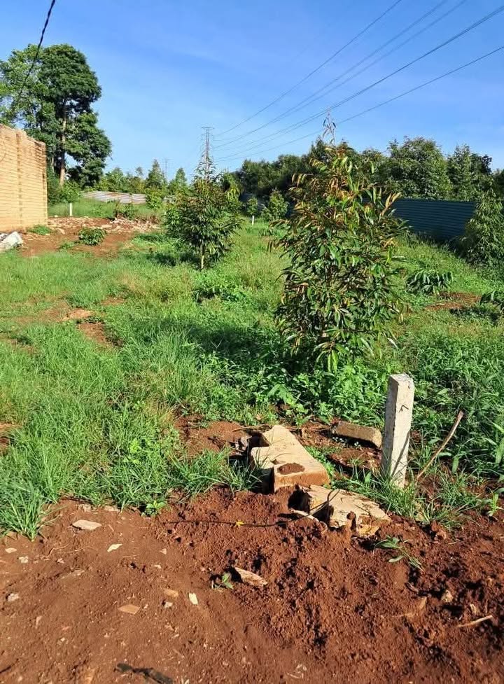 Đất nền Pơng Drang Krông Búk 325m² giá 1.3 tỷ - Đầu tư sinh lợi ngay!