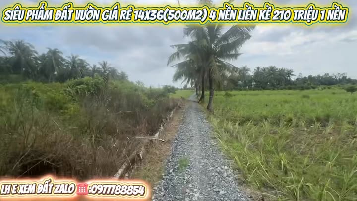 Đất vườn nghỉ dưỡng 500m² xã Tân Phú, giá 210 triệu - Cơ hội đầu tư tuyệt vời!