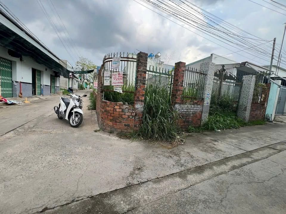 Đất thổ cư 2 mặt tiền Thạnh Phú Vĩnh Cửu 91m² giá 1.55 tỷ - Thích hợp đầu tư sinh lời!