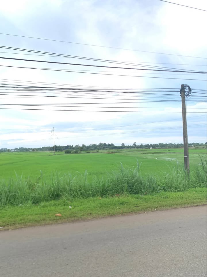 Đất nền đẹp Xuân Thọ - Long Khánh 1.200m² giá 3 tỷ - Đầu tư lý tưởng!