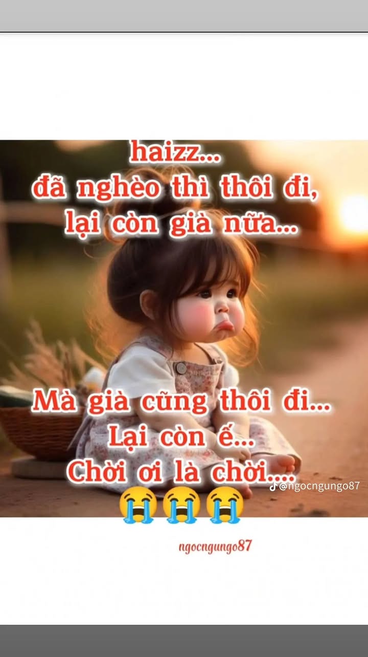 Đất nền thổ cư Hàm Đức 1200m² giá 450 triệu - Đầu tư sinh lời cao!