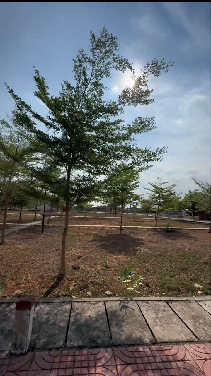 Đất nền Khu đô thị Nam An Eco Hàm Thuận Bắc 147m² chỉ 1.3 tỷ - Đầu tư sinh lời cao!