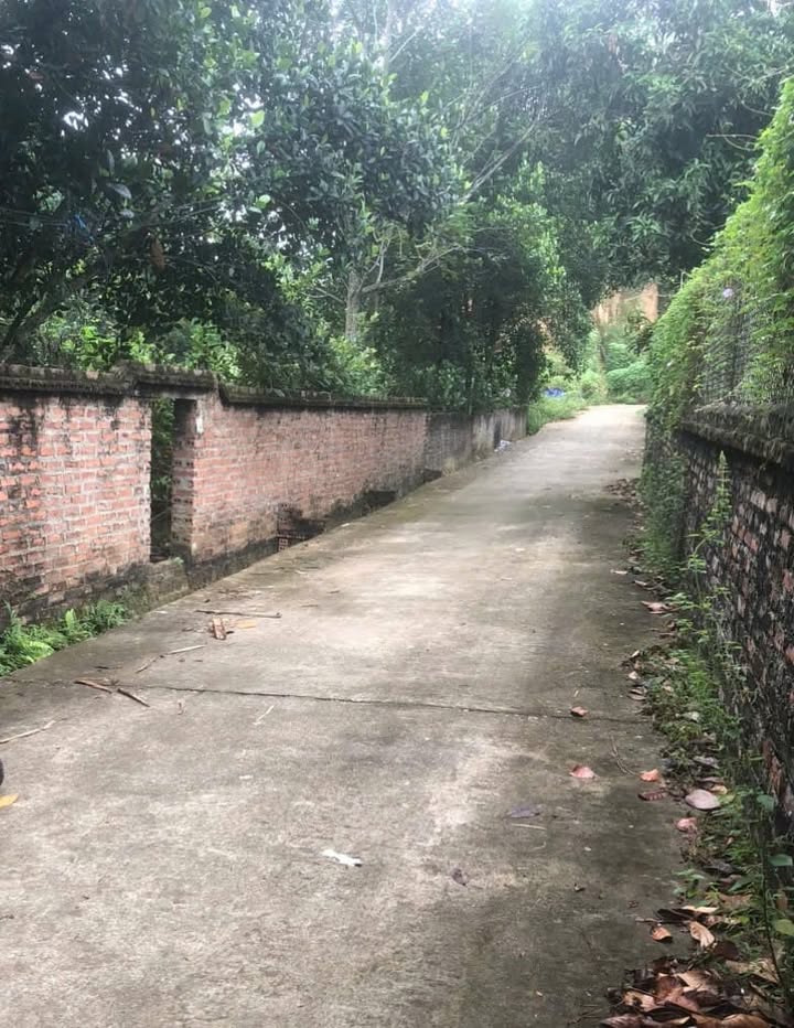 Đất nền khu phố 5, xã Kim Đức, 175m² giá 1 tỷ - Đường thông thoáng, mặt tiền 8m