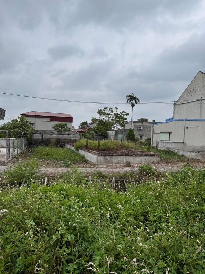 Đất nền xã Nghĩa Lâm 90m² giá 800 triệu - Sổ đỏ chính chủ, vị trí đắc địa!