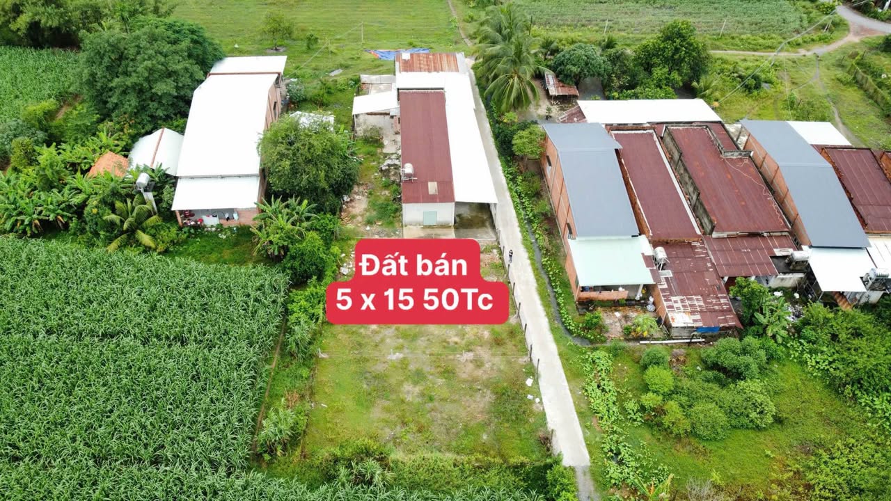 Đất thổ cư 75m² Cây Da, Gò Dầu - Ô tô vào tận đất, chính chủ bán!