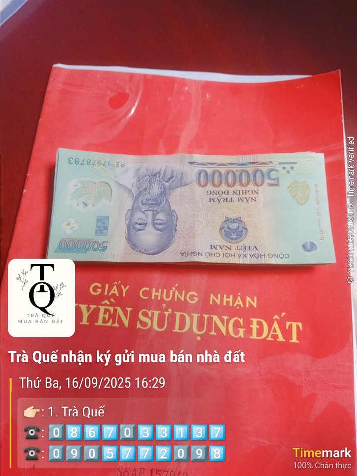 Đất nền Trường An 1, Hoài Nhơn 150m² - Cơ hội đầu tư sinh lời!