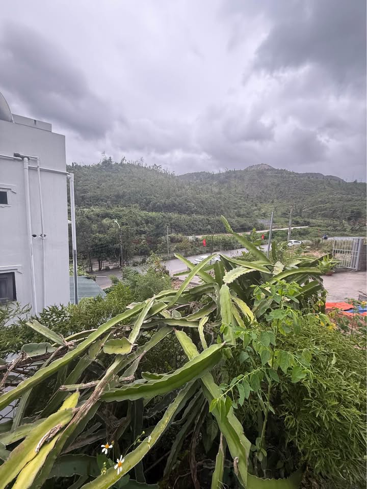 Đất nền Hạ Long 300m² giá 1.6 tỷ - Gần siêu thị Metro, đường ô tô vào tận nơi!