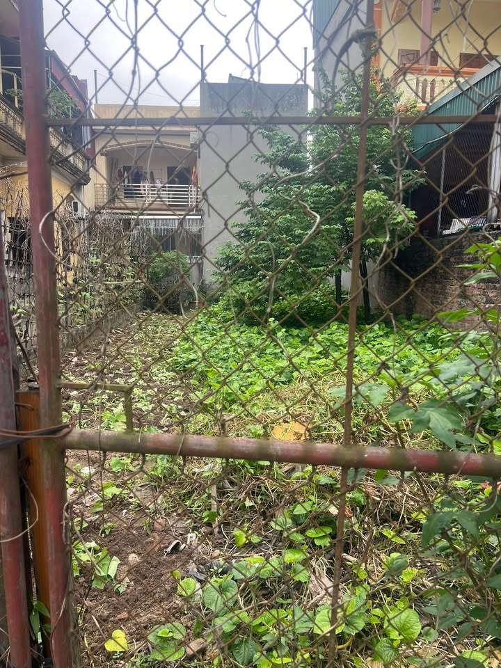 Đất nền 100m² tại Đa Tốn, Gia Lâm - Pháp lý rõ ràng, giá chỉ 7.5 tỷ!