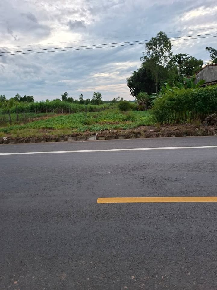 Đất nền kinh doanh mặt tiền tỉnh lộ 1, Ea Wer, Buôn Đôn, Đắk Lắk - Giá chỉ 2.04 tỷ!