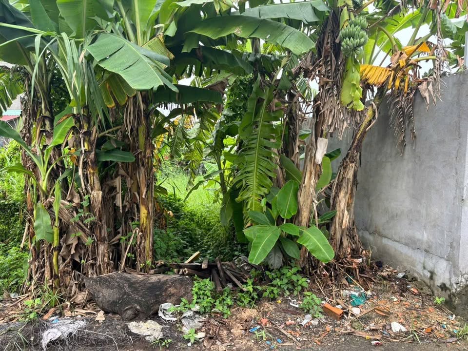 Đất nền Đông Thạnh Hóc Môn 72m² giá 1 tỷ - Sổ hồng chính chủ, thương lượng nhẹ!