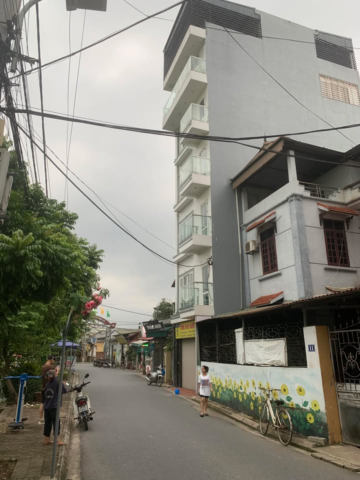 Đất Cổ Bi, Gia Lâm 60m² giá 4 tỷ - Vị trí tiềm năng, oto đỗ cửa!