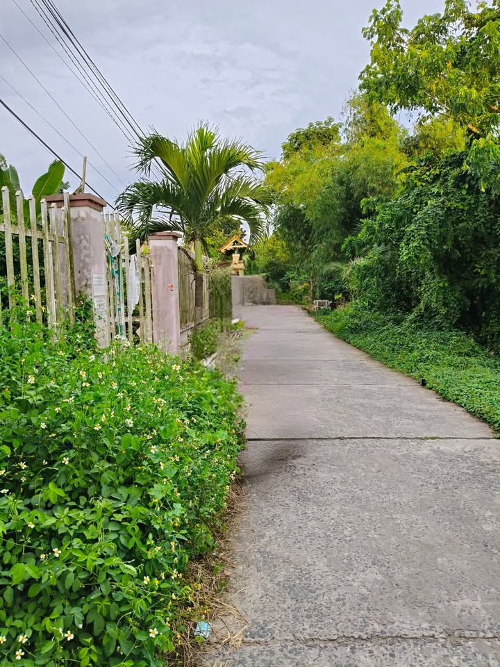 Đất vườn 4 công 8 xã Hội An, Chợ Mới - Giá 3.6 tỷ, có thổ cư sẵn sàng xây dựng!