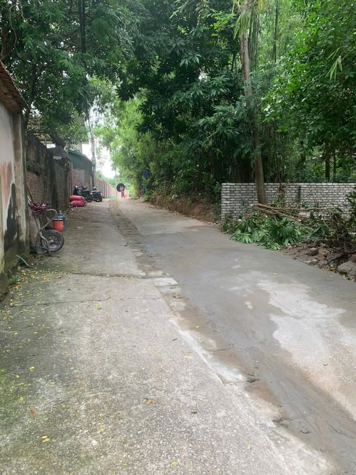 Đất nền Hòa Long, Bắc Ninh 600m² giá 18 tỷ - Đường ô tô vào tận nơi!