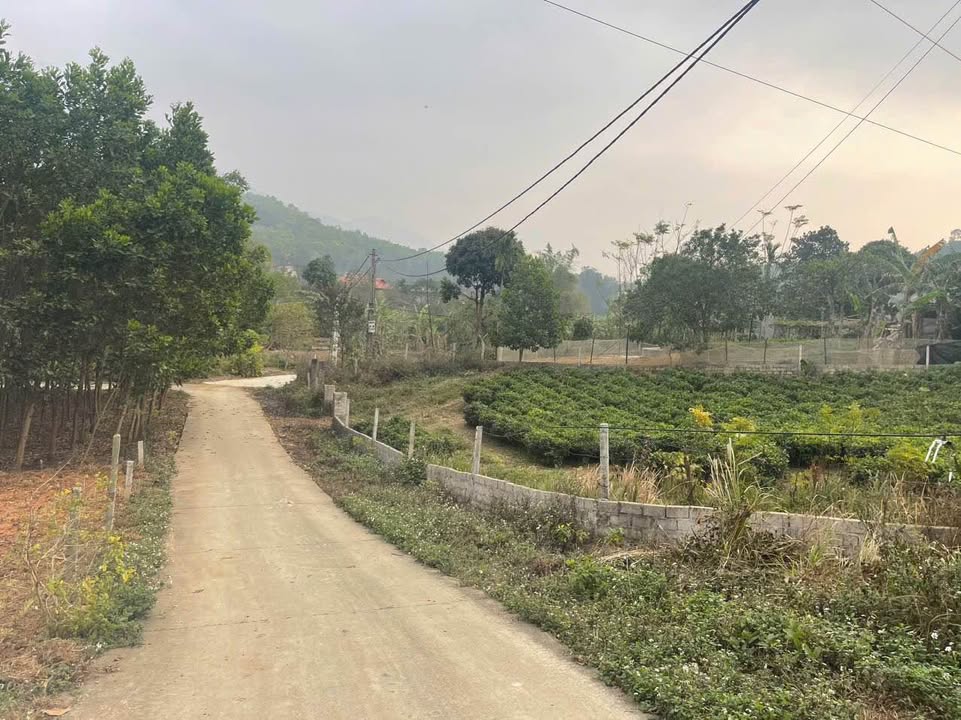 Đất nền Ba Trại, Ba Vì 5000m² giá 2 triệu/m² - Cơ hội đầu tư hấp dẫn!