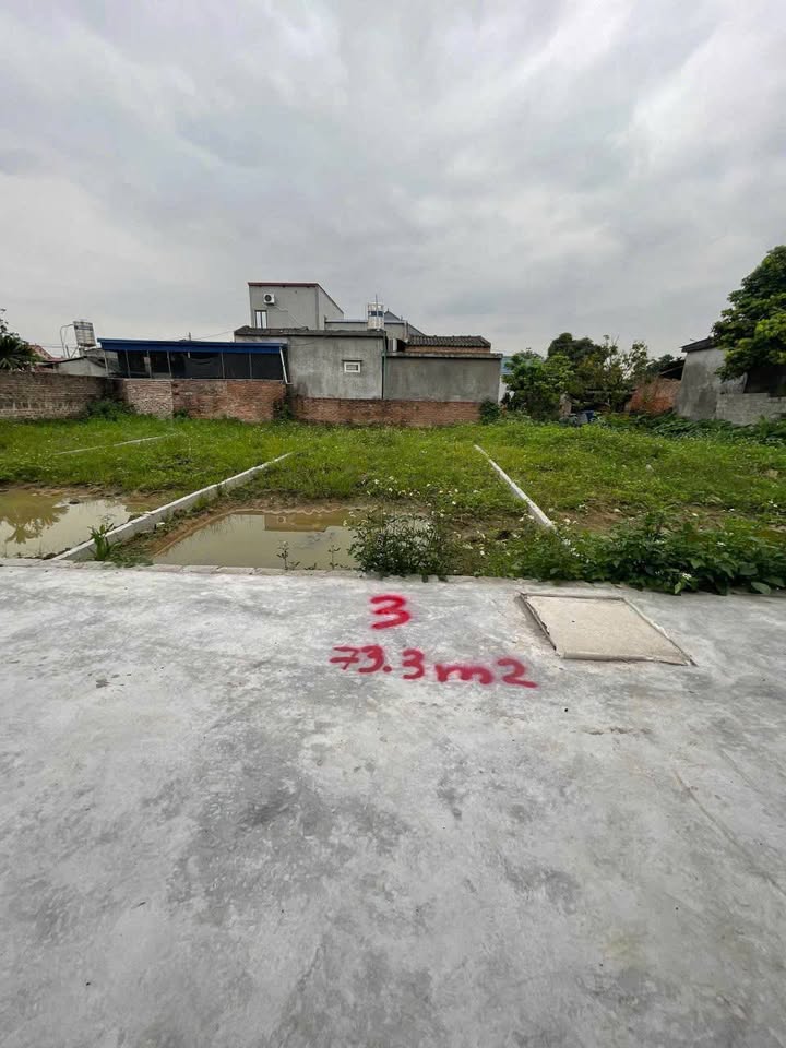 Đất nền Tân Dân An Lão 73m² giá 700 triệu - Đầu tư sinh lời ngay!