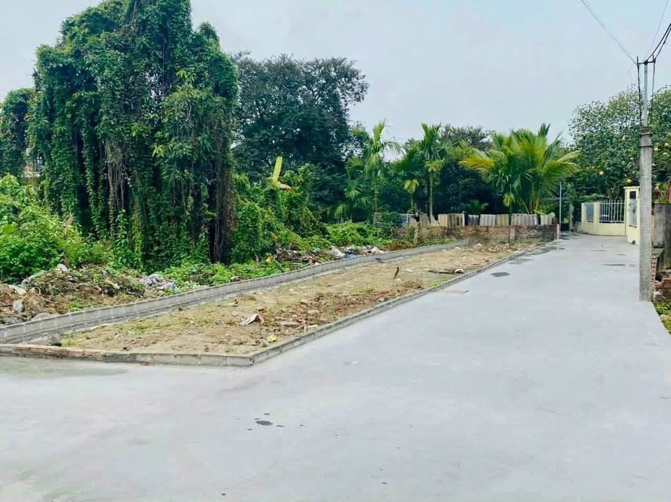 Đất nền 2 mặt tiền An Tiến, 104m² giá chỉ 1.4 tỷ - Cơ hội đầu tư tuyệt vời!