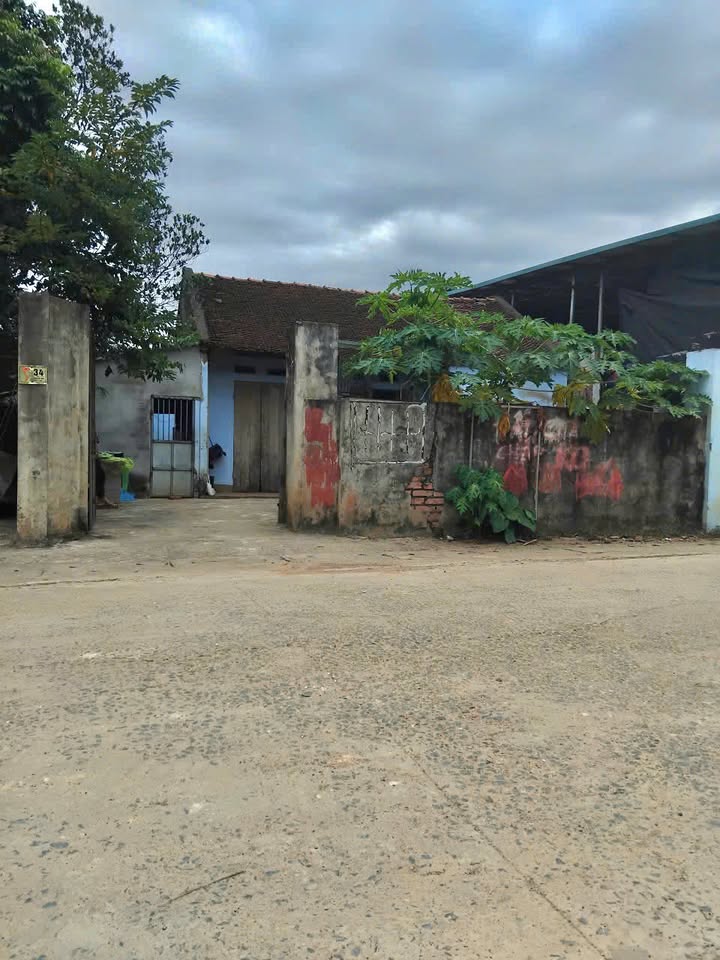 Đất mặt tiền Hòa Thạch, Quốc Oai 440m² giá 3 tỷ - Đầu tư sinh lời!