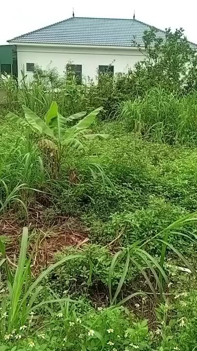 Đất nền khu phố 4 Nghi Kiều 168m² giá 3 tỷ - Vị trí kinh doanh sầm uất!