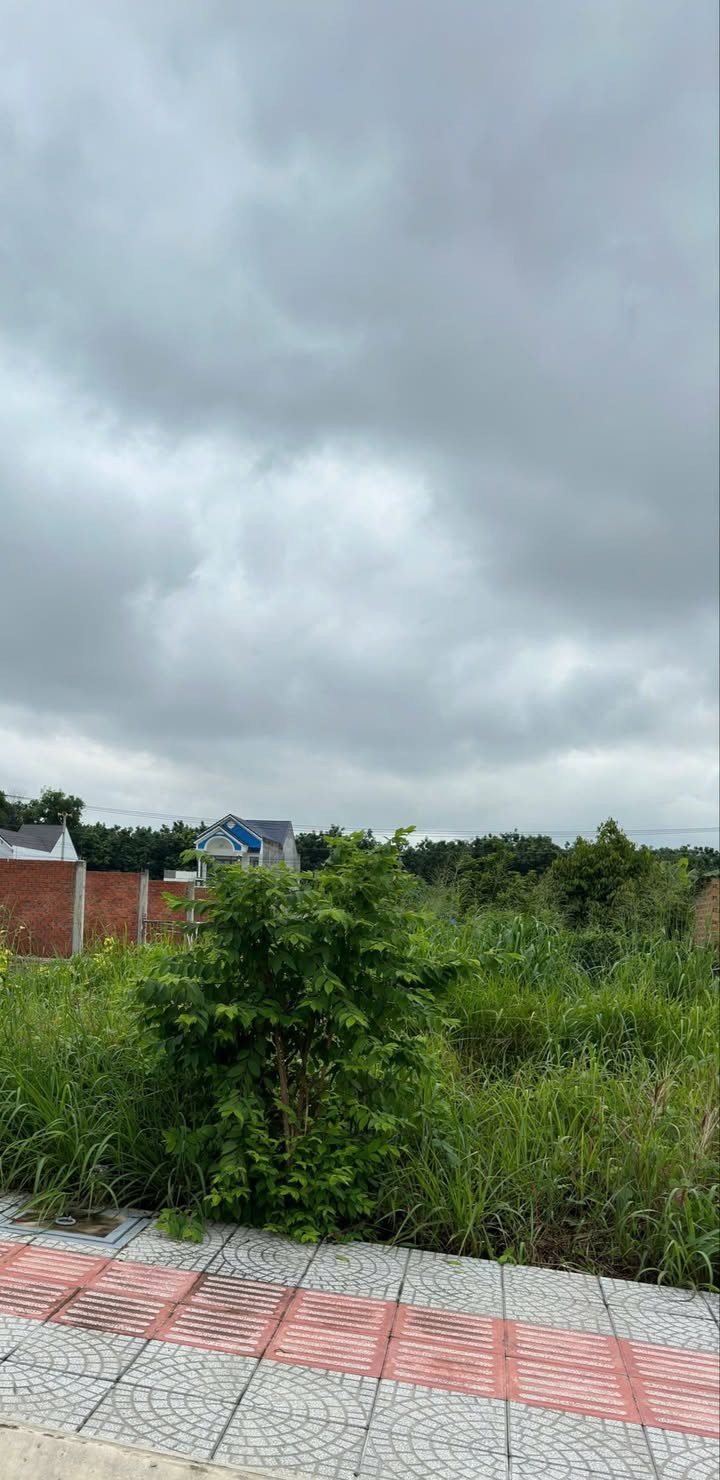 Đất nền Tân Hiệp, Tân Uyên 81m² giá 1.2 tỷ - Sổ đỏ chính chủ, thương lượng!