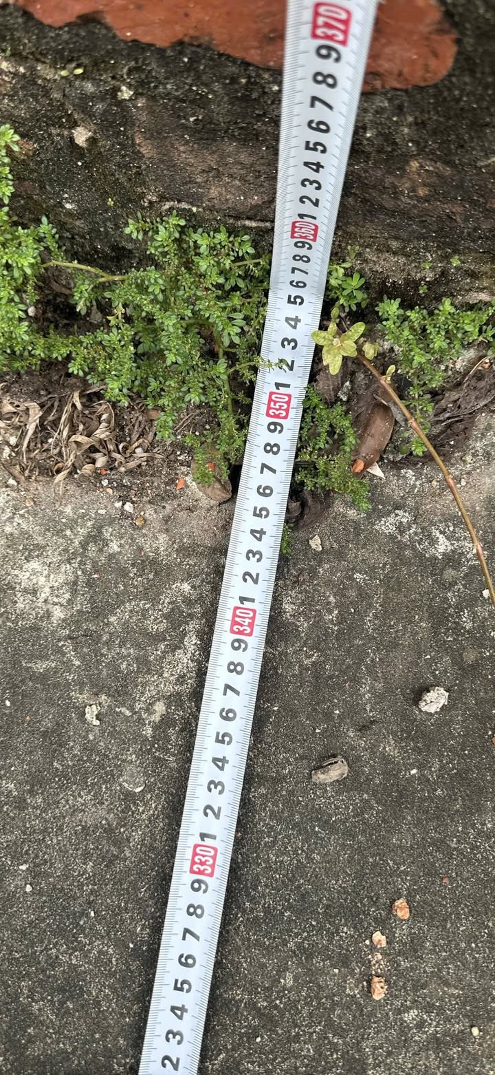 Đất nền Thanh Lâm Mê Linh 84m² giá 4.2 tỷ - Cơ hội đầu tư sinh lời!