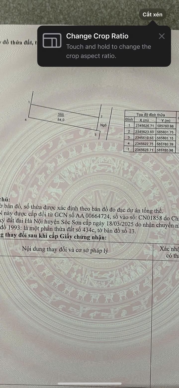 Đất thổ cư 84m² tại Mai Đình, Sóc Sơn - Giá đầu tư chỉ 2 tỷ