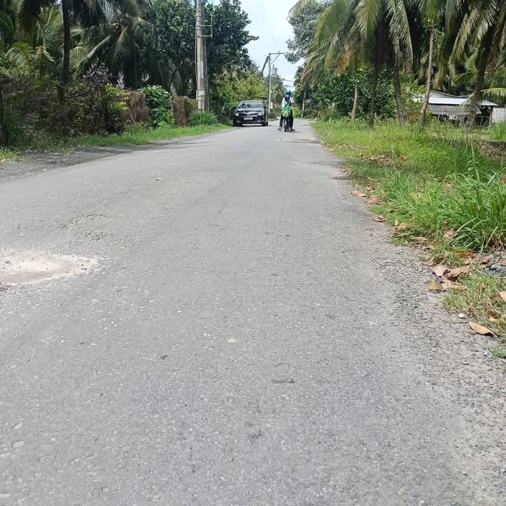 Đất vườn dừa Hưng Nhượng Giồng Trôm 3000m² giá 1.2 tỷ - Cơ hội đầu tư tuyệt vời!