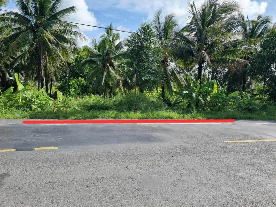 Đất nền 1200m² mặt tiền đường 173, phường Sơn Đông, Bến Tre - Giá 6.6 tỷ, vị trí đẹp!