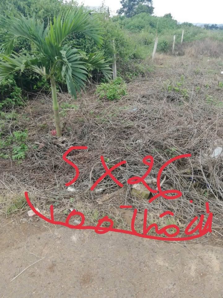 Đất nền Phú Hội, Đức Trọng 100m² giá chỉ 1 tỷ - Cơ hội đầu tư sinh lời!