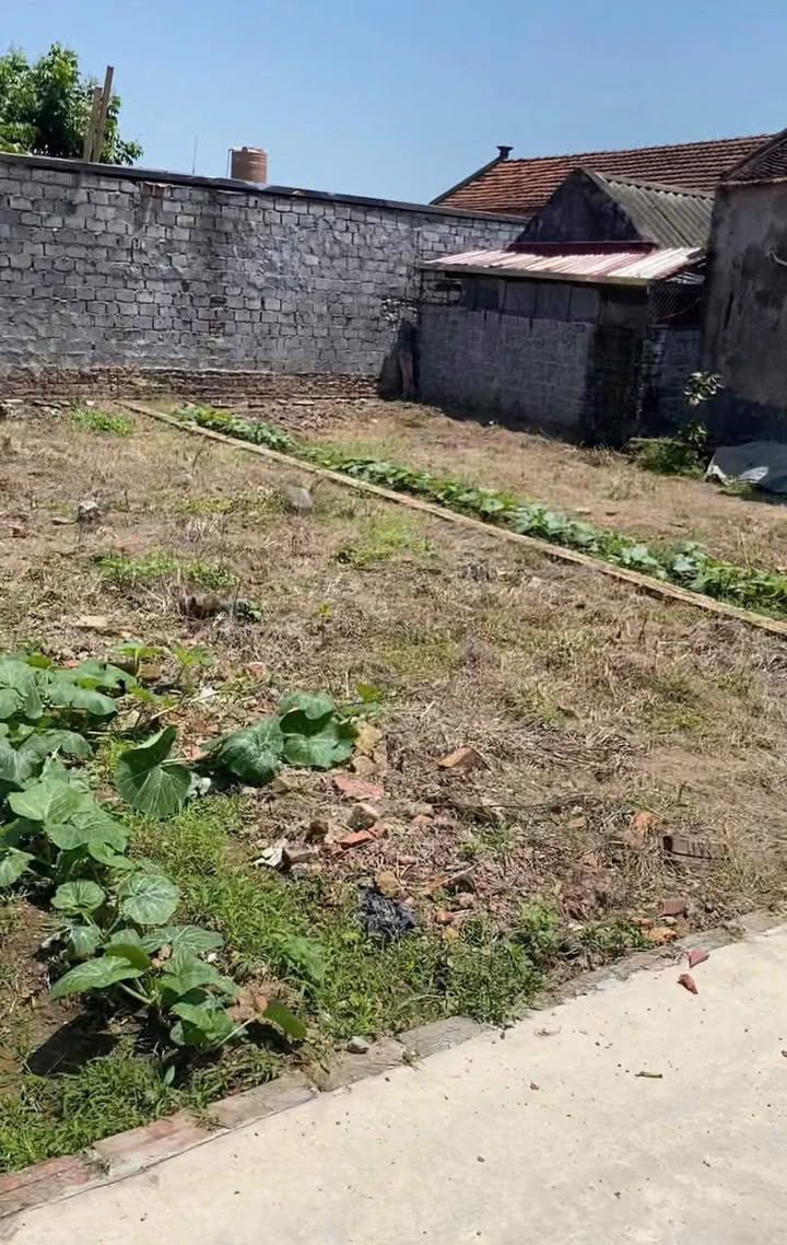 Đất nền Kim Động Hưng Yên 70m² giá 1 tỷ - Cơ hội đầu tư lý tưởng!