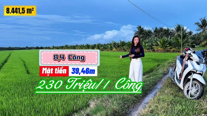 Đất Nông Nghiệp Tiểu Cần 8.441m² giá 1.932 tỷ - Sổ hồng chính chủ, thương lượng nhẹ!