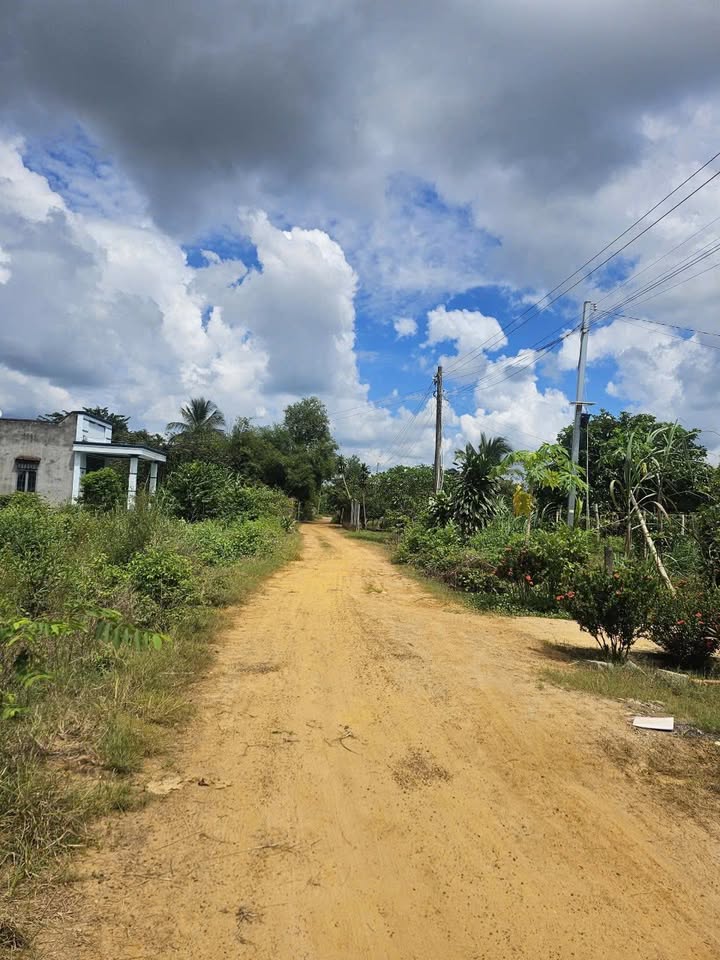 Đất thổ cư Thạnh Bình, Tân Biên 160m² giá 100 triệu - Cơ hội đầu tư hấp dẫn!