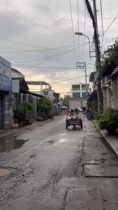 Biệt thự nghỉ dưỡng Hóc Môn 303m² giá 14.3 tỷ - Chuẩn resort, hồ bơi đẹp!