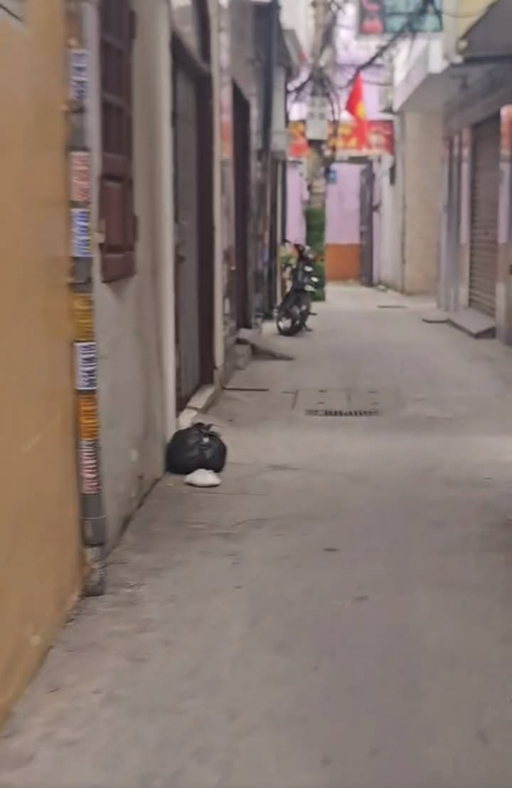 Lô đất 199 Tô Hiệu, Hải Phòng 65m² giá 2.9 tỷ - Cơ hội vàng cho nhà đầu tư!