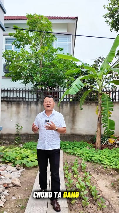 Biệt thự Chánh Phú Hòa, Bến Cát 420m² giá 6.8 tỷ - Sẵn sàng ở ngay!