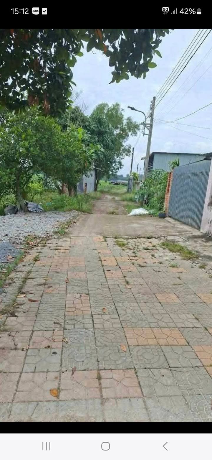 Đất nền Tân Định, Bến Cát 120m² giá chỉ 1 tỷ - Đầu tư sinh lời hấp dẫn!