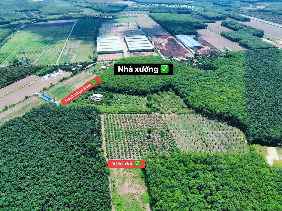 Đất thổ cư Quang Minh 480m² giá chỉ 300 triệu - Đầu tư sinh lời ngay!