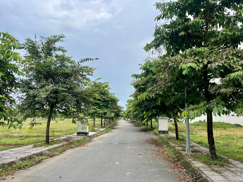 Đất nền Hưng Hoá, Tam Nông 85m² giá chỉ 170 triệu - Cơ hội đầu tư lý tưởng!