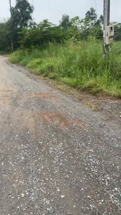 Đất nền Trảng Bom, Đồng Nai 161m² giá 1.75 tỷ - Đầu tư sinh lời ngay!