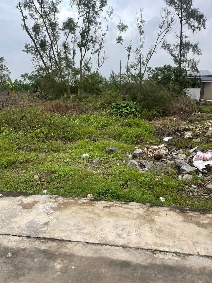 Đất Nghi Trung 178m² giá chỉ 1.6 tỷ - Đường rộng thông thoáng, sổ đỏ chính chủ!