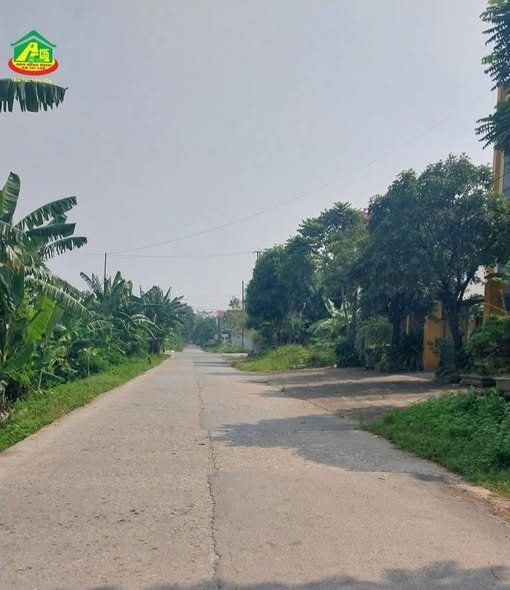 Đất nền đường Vạn Hạnh, Ninh Khánh, 80m² chỉ 3 tỷ - Cơ hội đầu tư lý tưởng!