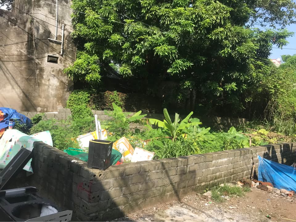 Đất Ninh Mỹ, Hoa Lư 75m² - Đất đẹp, vị trí thuận lợi gần chợ và trường học!