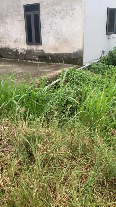 Đất nền Thạch Bình 175m² giá 900 triệu - Vị trí đẹp, tiện ích xung quanh!